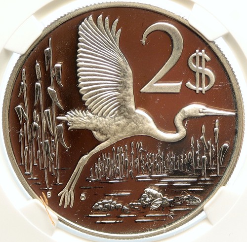 1977 CAYMAN ISLANDS 4.0cm GREAT BLUE HERON BIRD Proof Silver $2 Coin NGC i99632 - Afbeelding 1 van 5