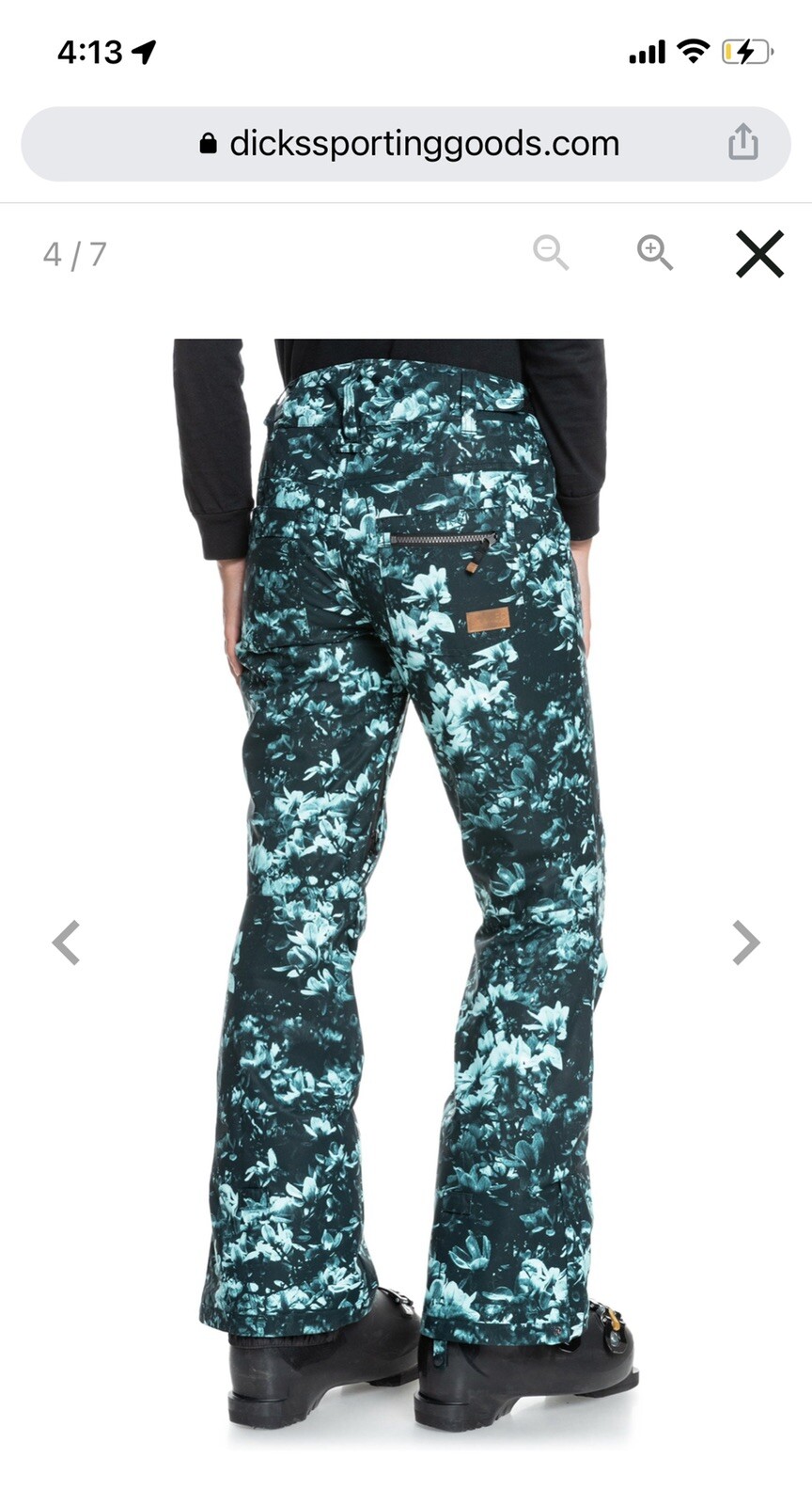 roxy snow pants