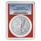2024-W Burnished $1 American Silver Eagle PCGS SP70 Blue Label Red Frame