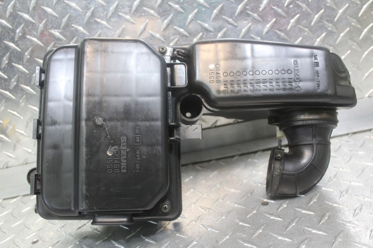 Giocattolo Per Cani Indistruttibile A Forma Di Orso - Con Squittio, Per Masticatori Forti - Foto 9