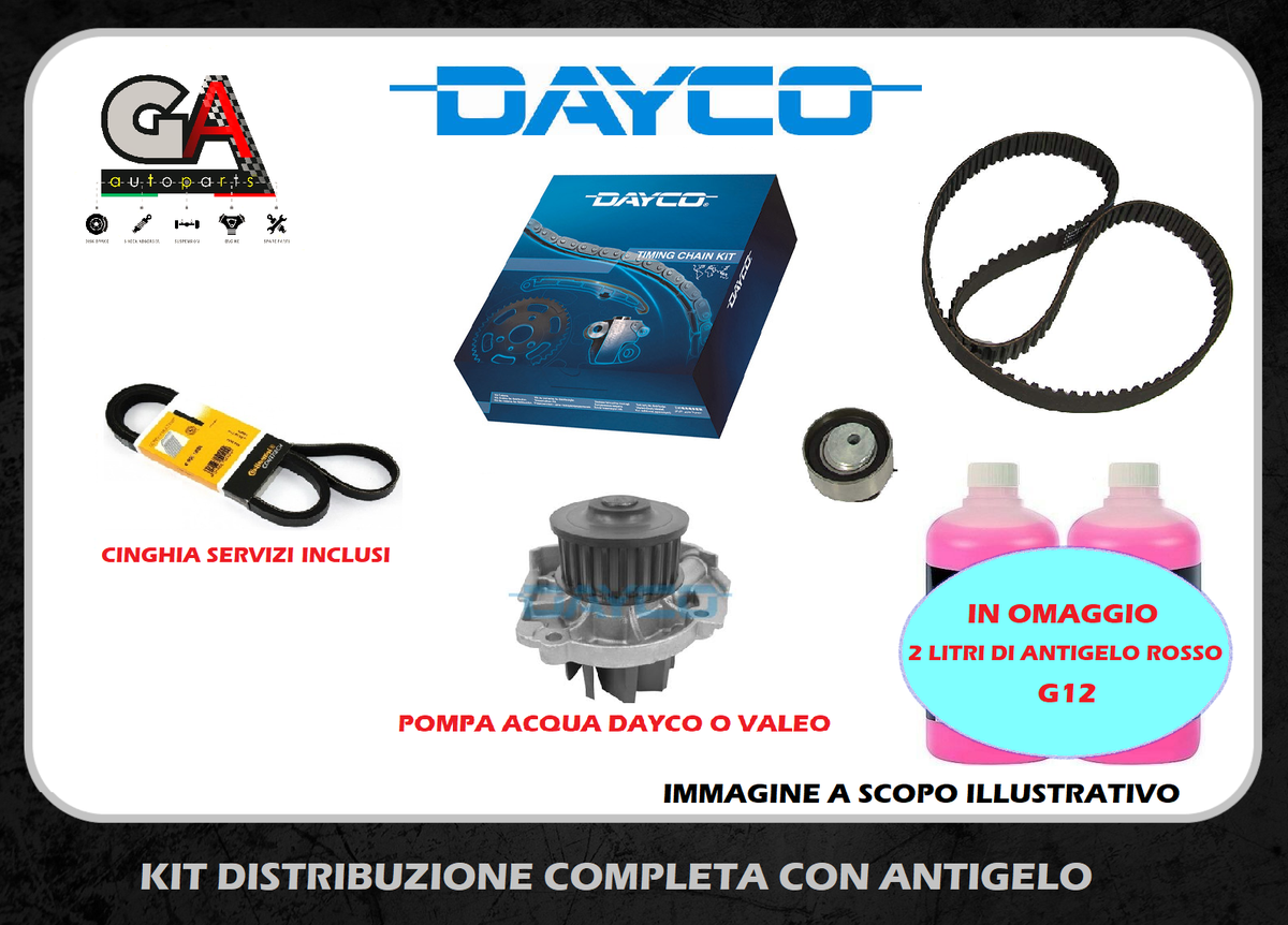 Kit Distribución + Bomba Agua Para Fiat Punto / Panda 1.1 1.2 8v (1993-1999) - Nuevo