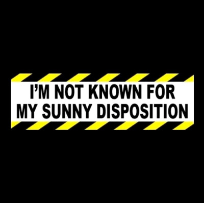 Funny ''I'M NOT KNOWN FOR MY SUNNY DISPOSITION'' grumpy goth STICKER punk rock mma