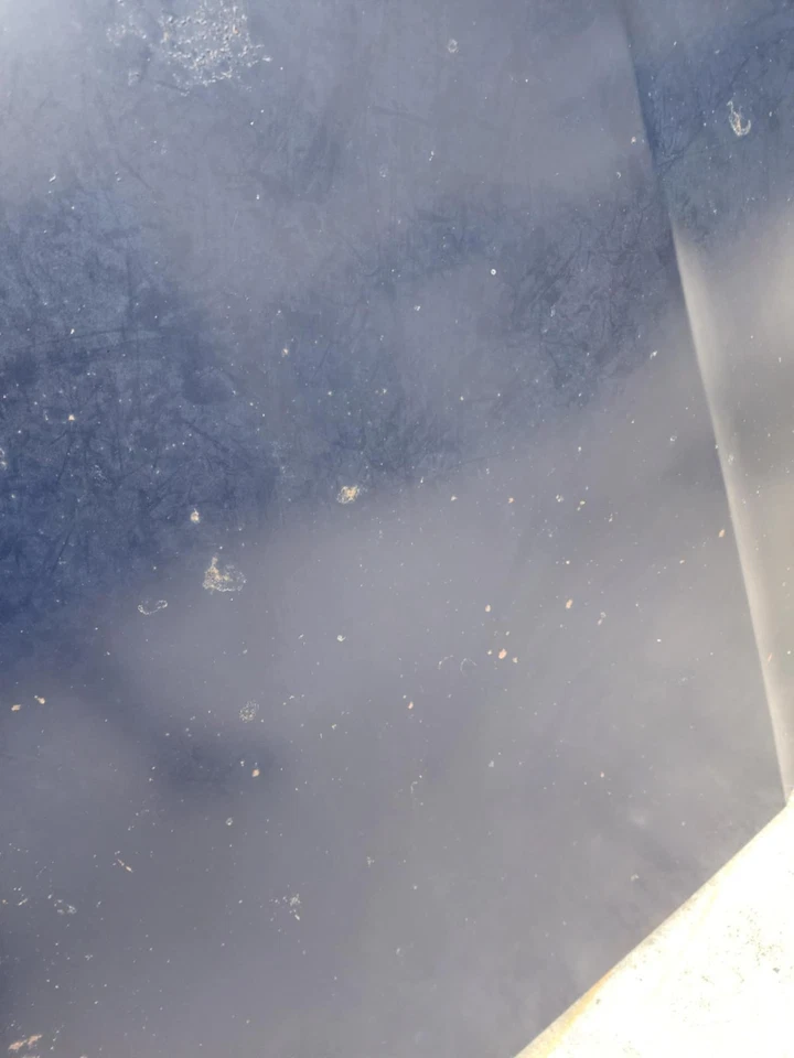 Camioneta pickup Mazda B2000 B2200 1989-93 2/4x4 capó original capó azul usada Foto 3 de 4