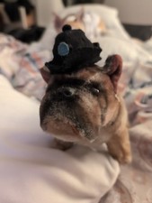 Antique Mohair Bull Dog Straw Stuffed Toy Hat 