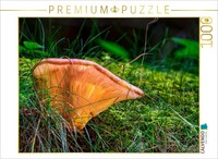 Calvendo Puzzle Leaf Mushroom | 1000 Pieces, Finished Size 25.2 × 18.9 In (64 ×