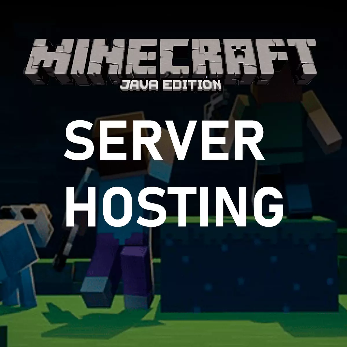 MineCraft 1.20.2 ! Server Hosting - 20 Players 8GB RAM!, 1 Year / 365 Days