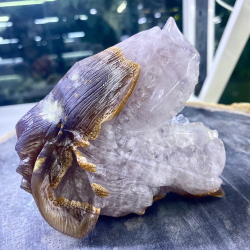 1.2LB Natural hand carved amethyst agate crystal specimen wolf's head - 第 2/20 張圖片
