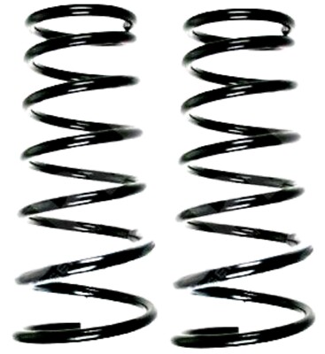 2X Rear Coil Springs For Kia Carens FJ MK II 1.8 2.0 CVVT CRDi 2002-2006