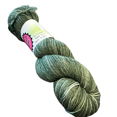 Cakewalk Yarns Superwash Merino Yarn 420 Yards Pickle Green HD 8-Ply Hand-Dyed