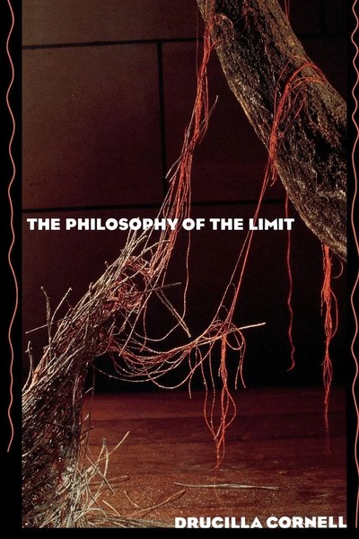 Drucilla Cornell | The Philosophy Of The Limit | Taschenbuch | Englisch (1992)-image