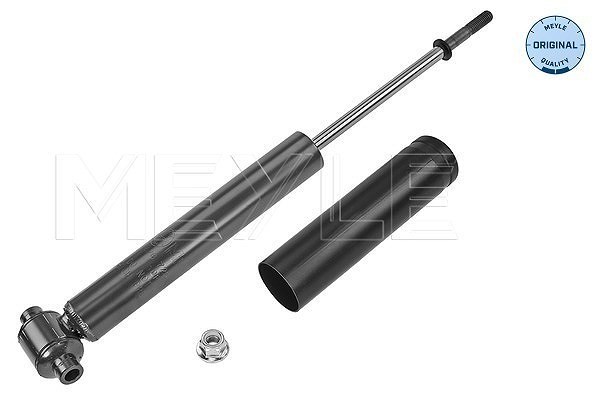 2X Meyle StoßDäMpfer Hinterachse U.A. FüR Renault, Volvo-image
