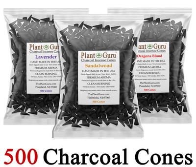 500 Incense Charcoal Cones 1'' Topflow Bulk Unscented Handmade For Burner Holder