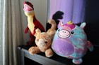 Bild 16 von 16