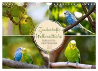 "Calendar 2027 · US Version · Magic Budgies (Wall Calendar 2027 12\" × 8\" Landscap"