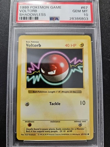 Pokemon PSA 10 Shadowless Base Set Voltorb 67/102 GEM MINT