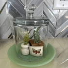 Cloche with Fire-King Jadeite plate, vintage block, stamps, knob & bunny