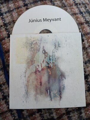 JUNIUS MEYVANT 2Tk CD Neon Experience Radio Edit Color DECAY 2016 Sigurmundsson