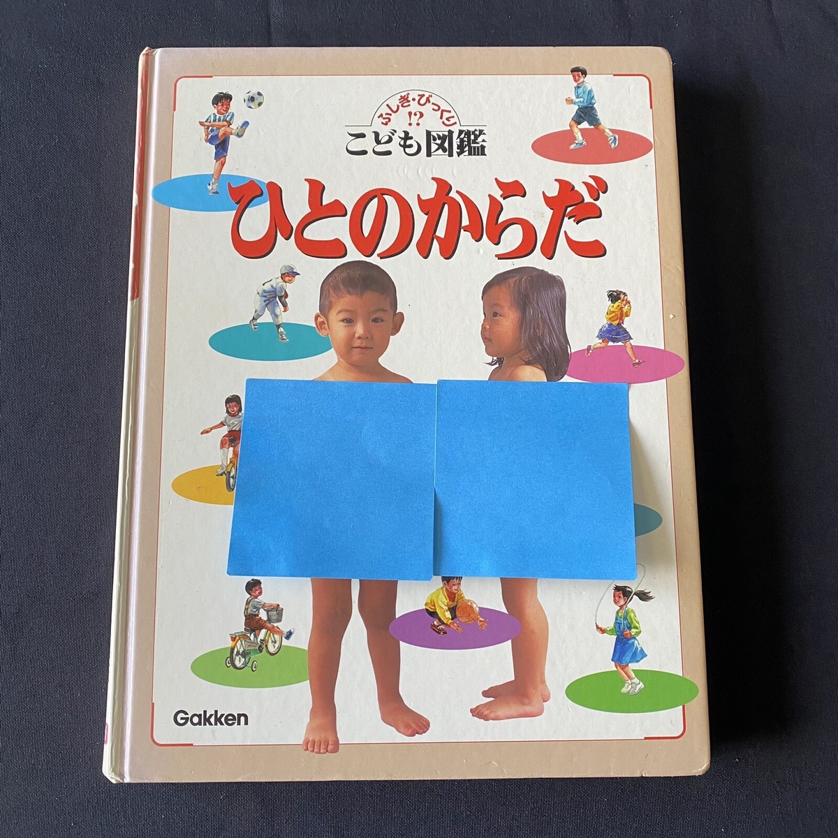 Japanese Kids Book Human Body Physiology Biology Reference