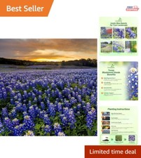 Heirloom Texas Bluebonnet Seeds - 1 lb Annual Seeds for Colorful Spring Blooms 143.99 per gallon