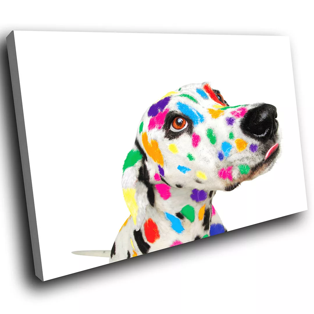 Dalmatian artwork hotsell