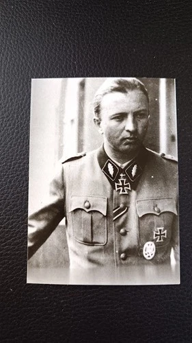 WW2 German Photo: Headshot of SS Standertenführer Hermann Fegelein