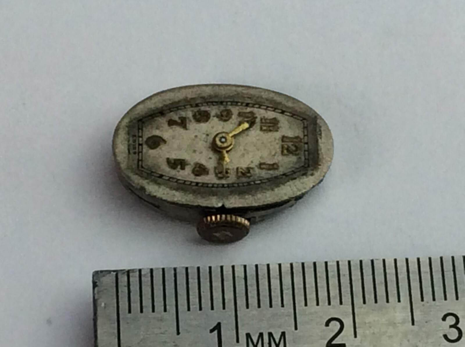 Picture 10 of 10