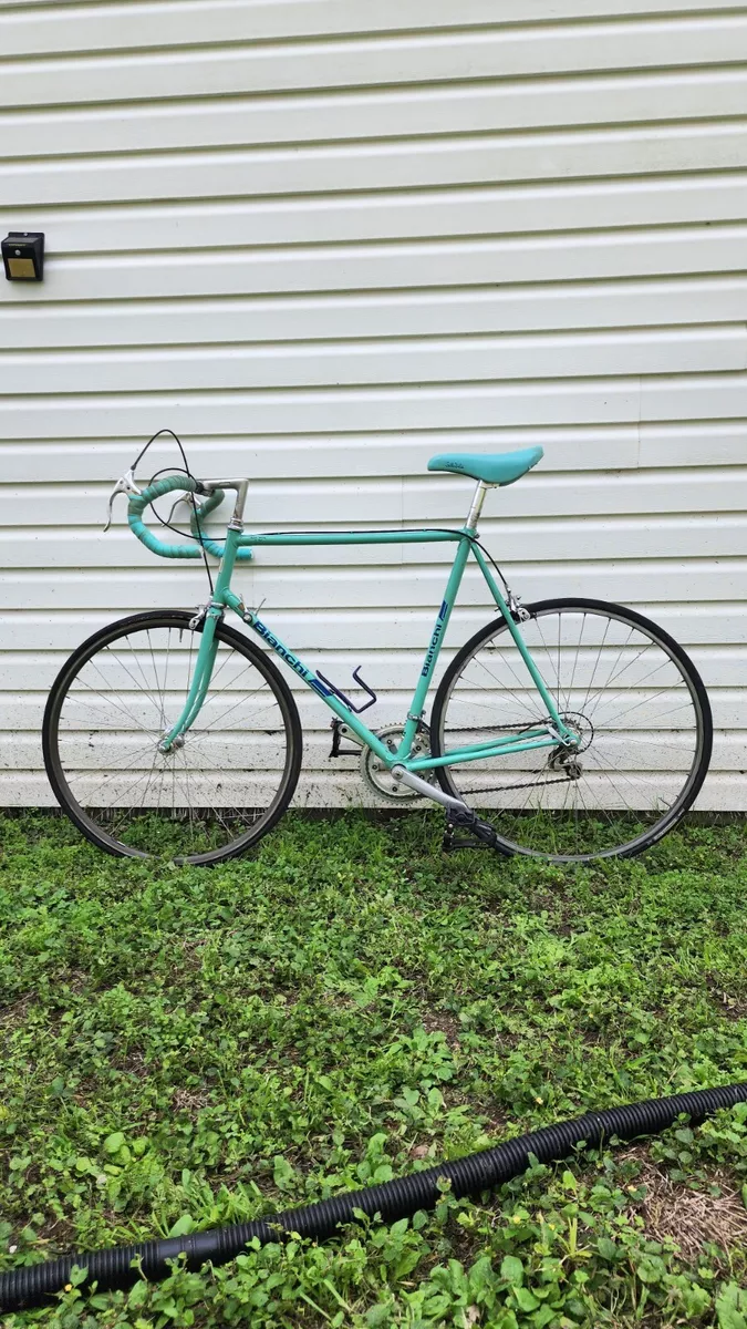 Bianchi 58cm store
