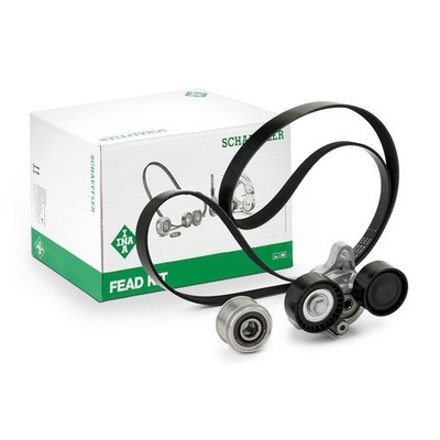 Schaeffler INA Keilrippenriemensatz 529 0206 20 für BMW