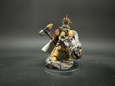 Warhammer 40k Darnath Lysander Imperial Fists Helmeted pro painted Ready To Ship