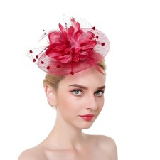 Song Qing Women Fascinator Hats Mesh Flower Feather Fascinators Derby Hat Wed...