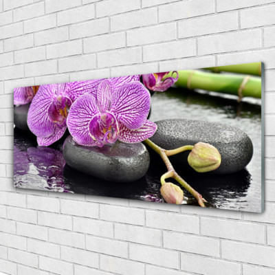 Tulup Wandbilder Glasbilder Dekobild 125x50 Blumen Steine Pflanzen