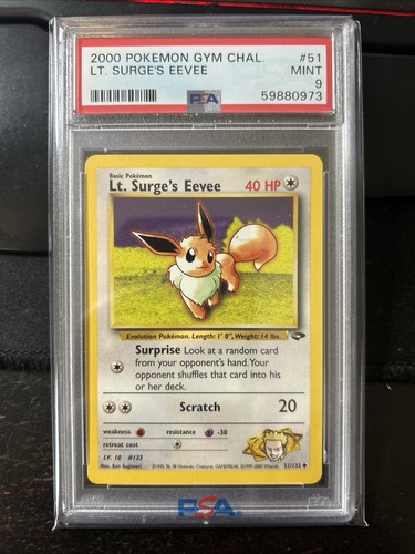 Lt. Surge's Eevee (Unlimited) graded PSA 9 for sale on eBay