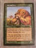Mtenda Lion - Magic the Gathering MTG Mirage Single Card Near Mint 