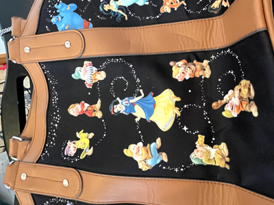 Disney Bradford Exchange CARRY THE MAGIC Tote Bag