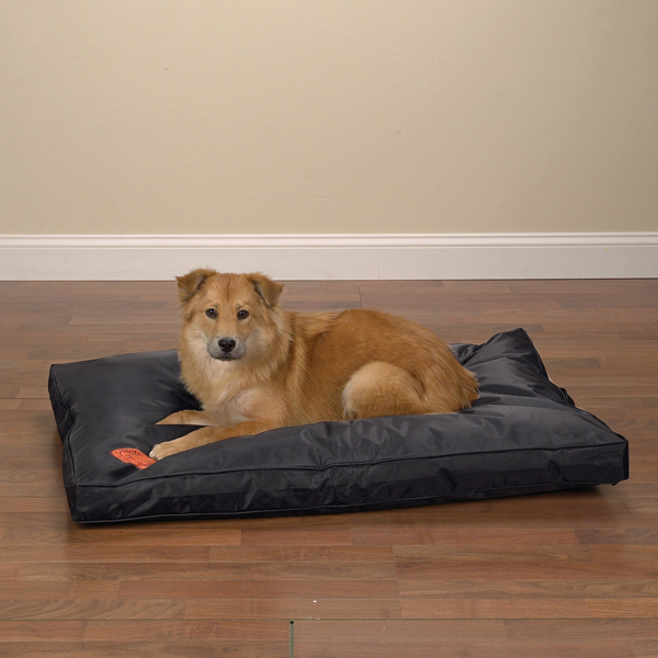 chew proof dog bed