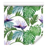 10M Vlies Tapeten Rollen Blumen BläTter Monstera Palmen Exotisch Flora Xxl 3432
