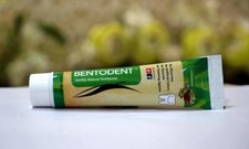 BENTODENT TOOTHPASTE Flouride-free Natural Toothpaste, 100 gm