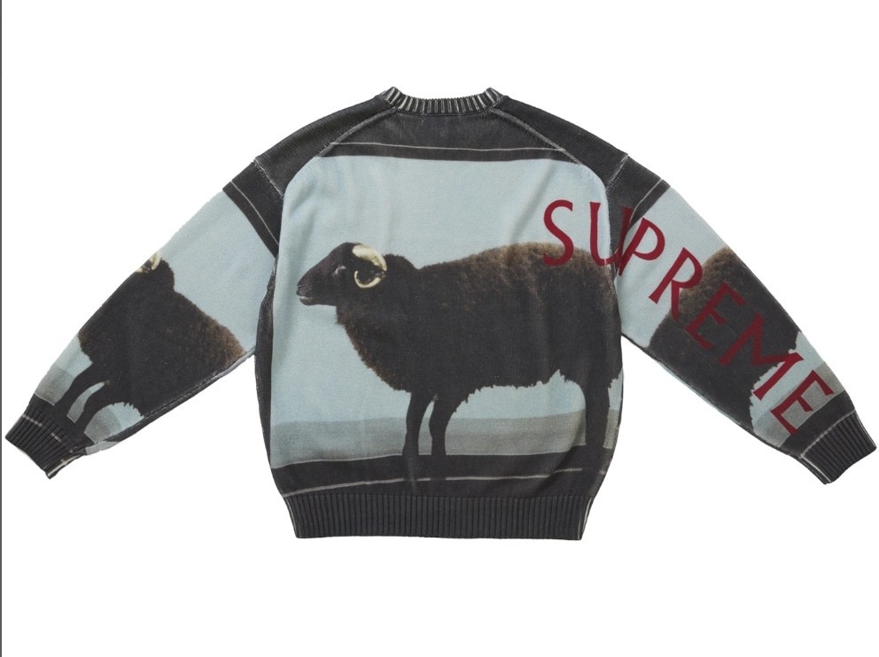 Supreme Damien Hirst Sweater シュプリーム　ダミアン Supreme Damien Hirst Sweater (SS25) - $198