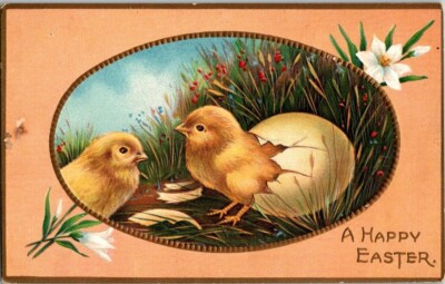Vintage Antique Postcard Easter Baby Chicks Egg Hatching Grass Field Art P01