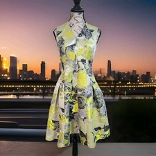 Carmen Marc Valvo Citrus Dress Sleeveless Fit And Flare 4 Ladies Party Date