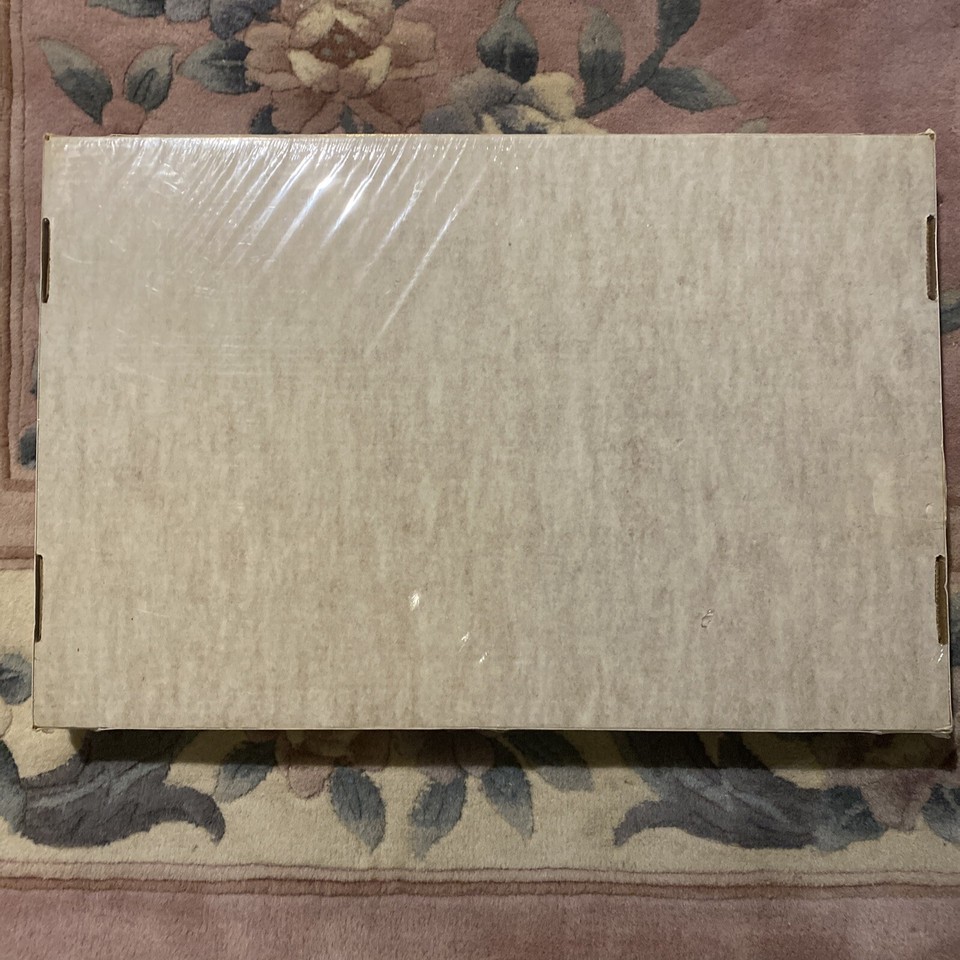 WIRE N THINGS Barnstormer Airplane 16" x 24" Wire Art Kit - #2603 - NOS