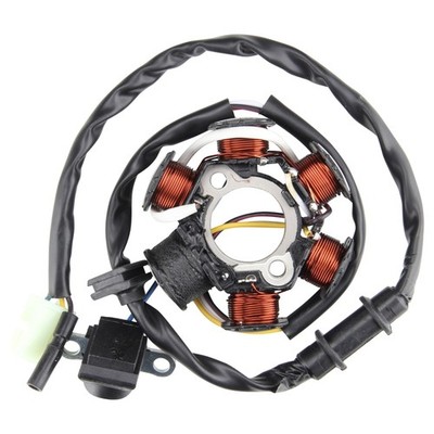 Lichtmaschine Generator Stator für PGO Big Max Tornado Hot 50 Alternator
