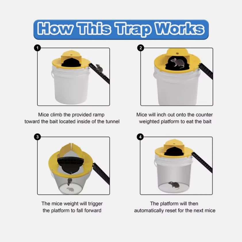 Paquete de 4 trampas para ratones cubo 2025 actualizado envío rápido desde ee. uu. ratonera Foto 3 de 4