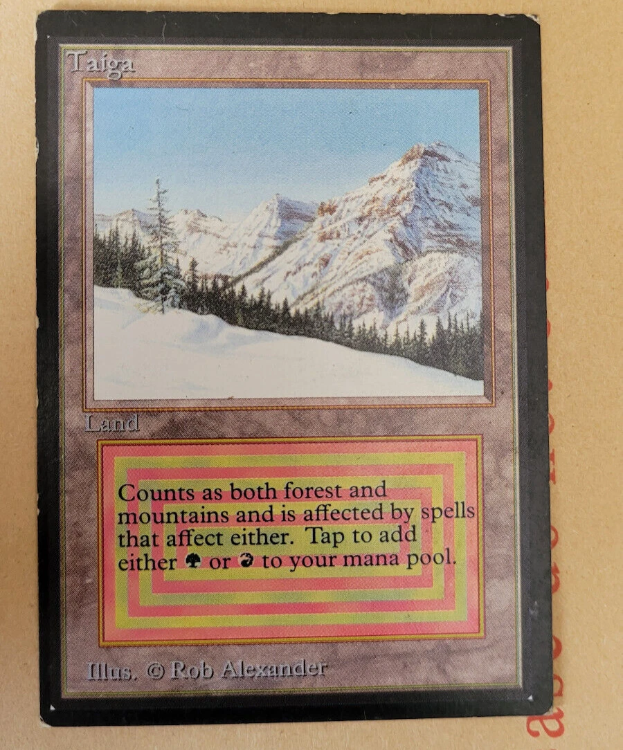 リバイズド Taiga 英語版 状態HP Taiga Magic: The Gathering Individual Trading Card Games for sale