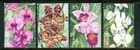1998 Orchids! Joint Issue With Singapore - Complete Set of Used Stamps