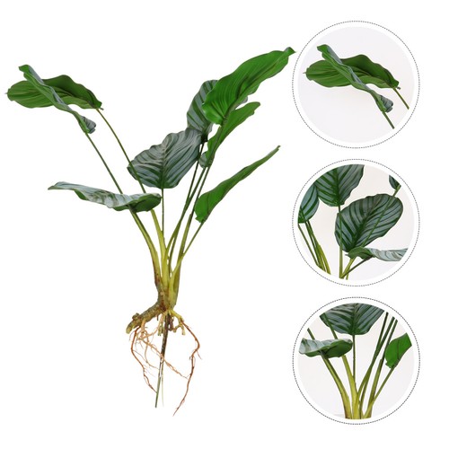 1 szt. Sztuczna roślina Calathea Bonsai Kreatywna roślina Bonsai Roślina doniczkowa - Zdjęcie 8 z 16