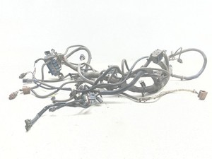 17-24 Polaris Sportsman 850 High Lifter Main Wiring Harness Wire Loom Electrical