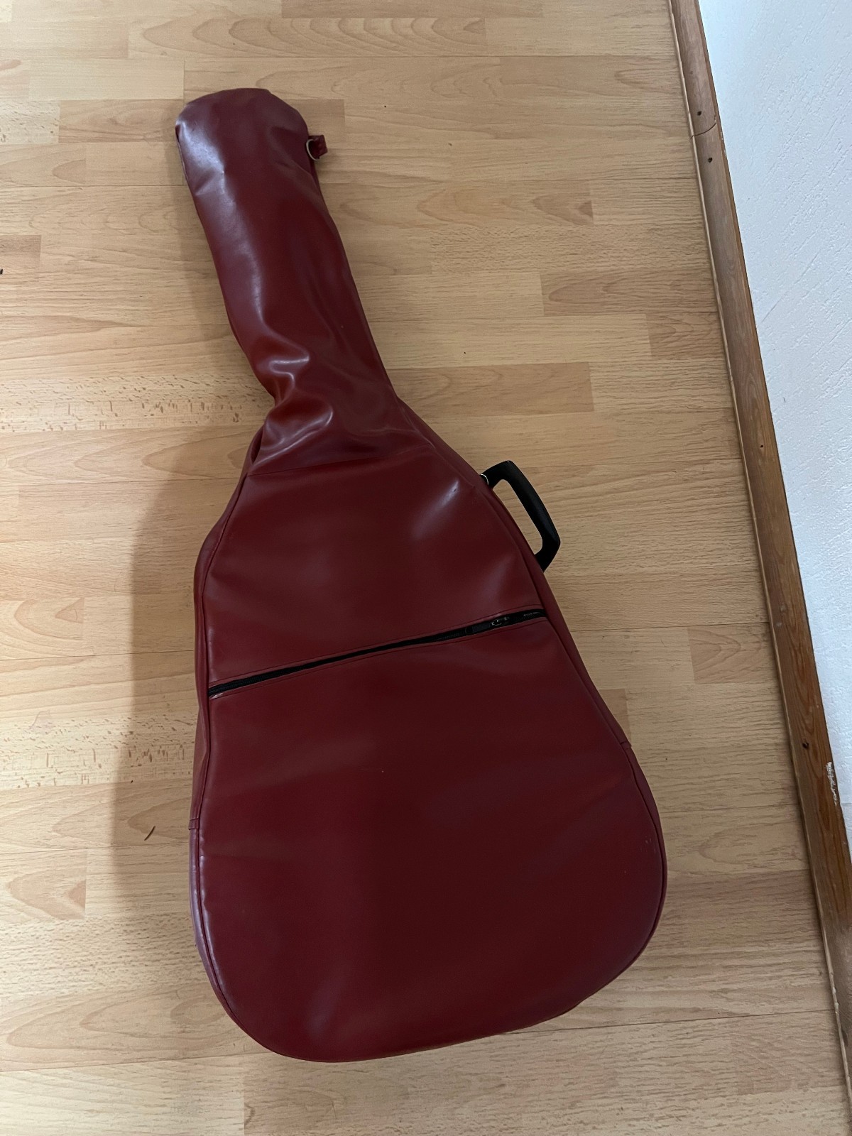 Akustik Gitarre Eko 12saitig