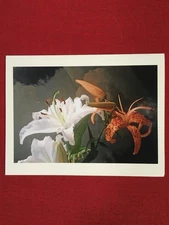 10# Set of 5 Blank 5”x7” Floral Photograph Note Cards