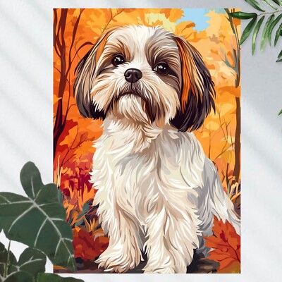 Majestätischer Shih Tzu Hund Poster Schöne Wanddeko Dekoration
